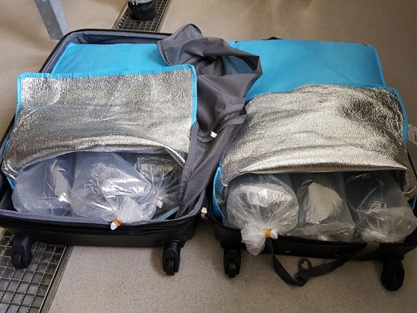 Glasaale im Koffer (Flughafen Zürich) 